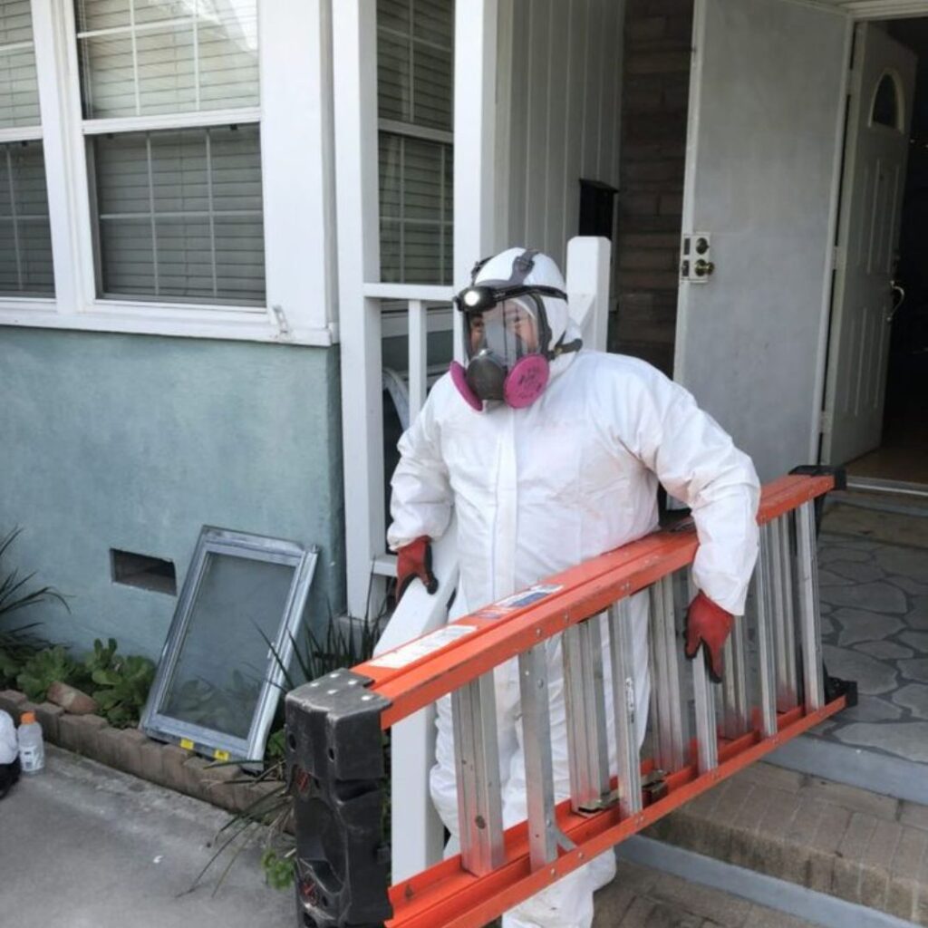 Results from professional pest management can last anywhere from a few months to a year, depending on the type of pest and the treatments used.