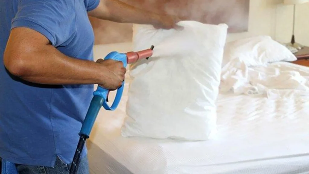 The cost of bed bug pest control can vary depending on factors such as the size of the area to be treated, the severity of the infestation, and the type of treatment used.