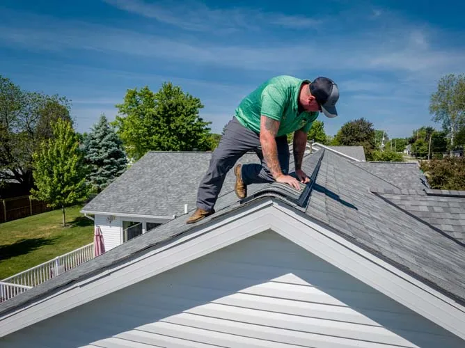 Pest control services can help with a variety of issues in an apartment, including infestations of rodents, ants, cockroaches, termites, bedbugs, and other common household pests.