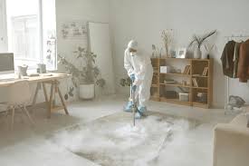 If the area was treated for pests like bed bugs or ants, avoid disturbing the treatment zones by vacuuming or washing right away.