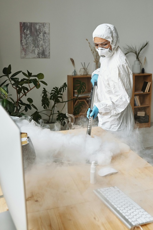 If you're dealing with a pest infestation, understanding the cost of various treatments can help you choose the right solution for your needs.