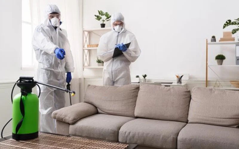 It’s common to wonder if it’s necessary to vacate during pest removal. In most cases, there is no need to leave the premises while experts handle the issue.